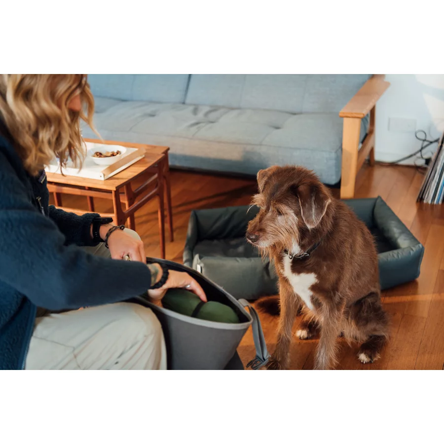 CROOZER Hundeanhänger Dog Mikke Colourful Journey