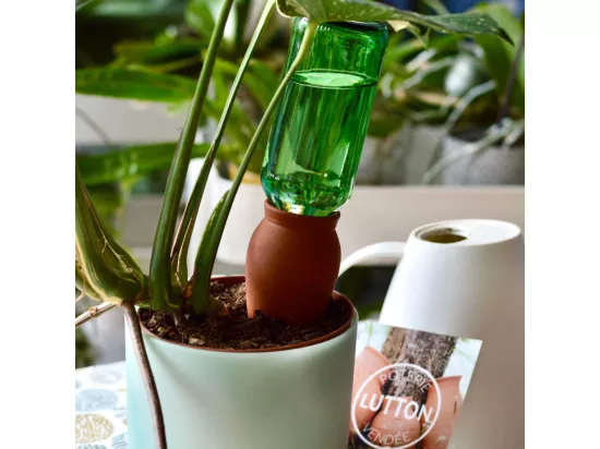 Ollas à planter en argile Cône