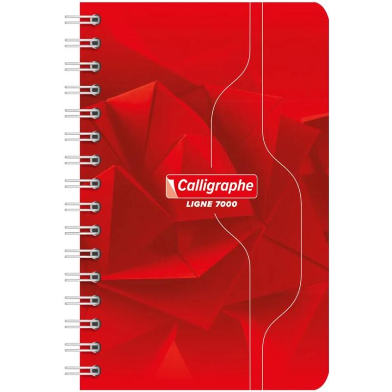 Carnet reliure intégrale 7000 9x14 cm 100 pages petits carreaux 70 g - Assortis