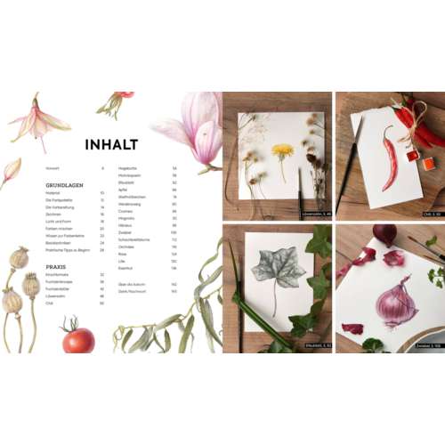 Botanicals – Naturmotive in Aquarell