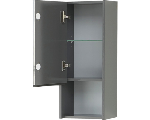 Pelipal xpressline 3261 grijze wandkast met glazen front BxHxD 30 x 70 x 16 cm