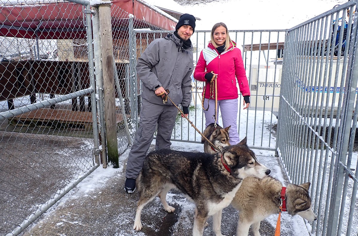 Exklusiv Husky Schlittenfahrt für Zwei im Kanton St. Gallen als romantische Geschenkidee!