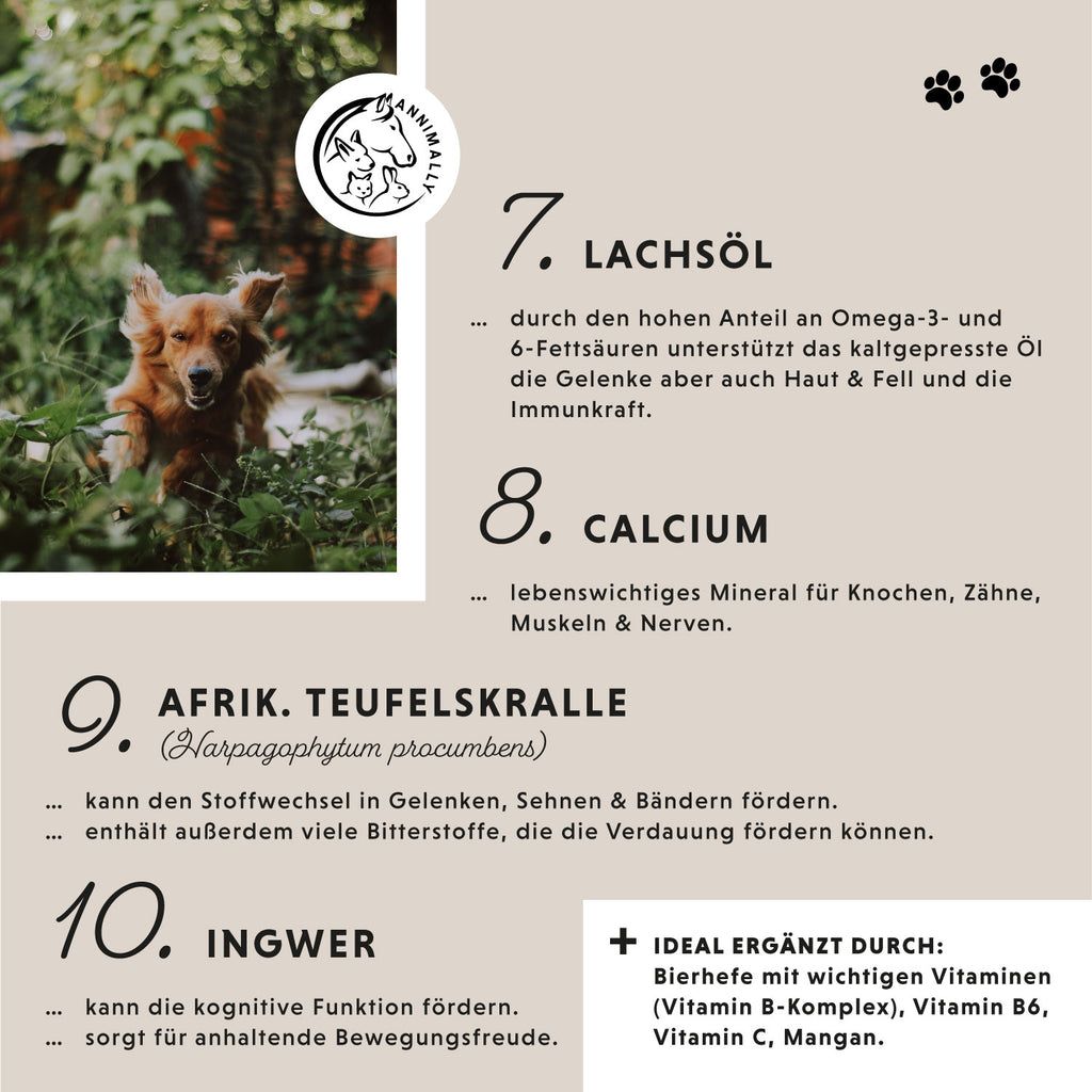 Annimally Gelenktabletten