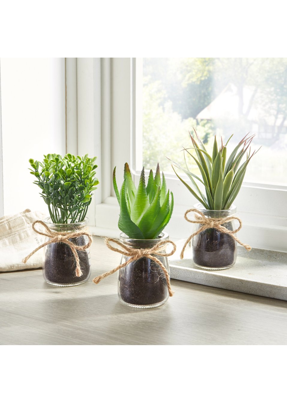 Succulentes artificielles en pot de verre (Ens. 3 pces.)