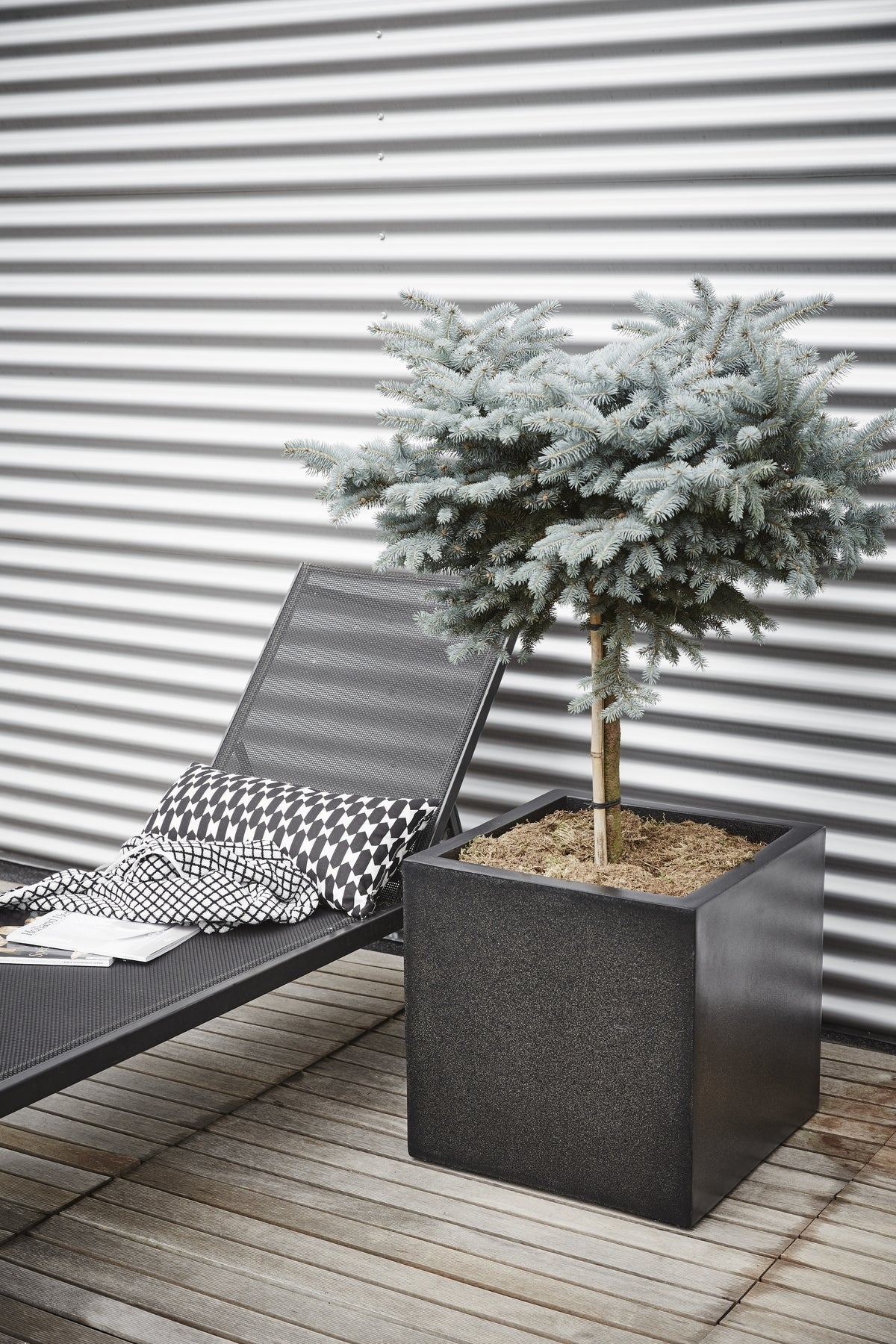 Capi Europe plantenbak Lux Terrazzo zwart 50 x 50 x 50 cm