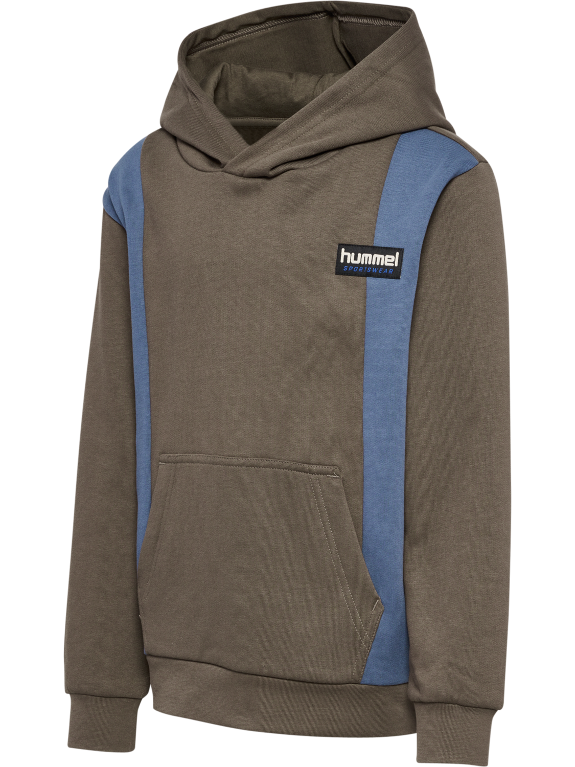 hmlALLTON HOODIE