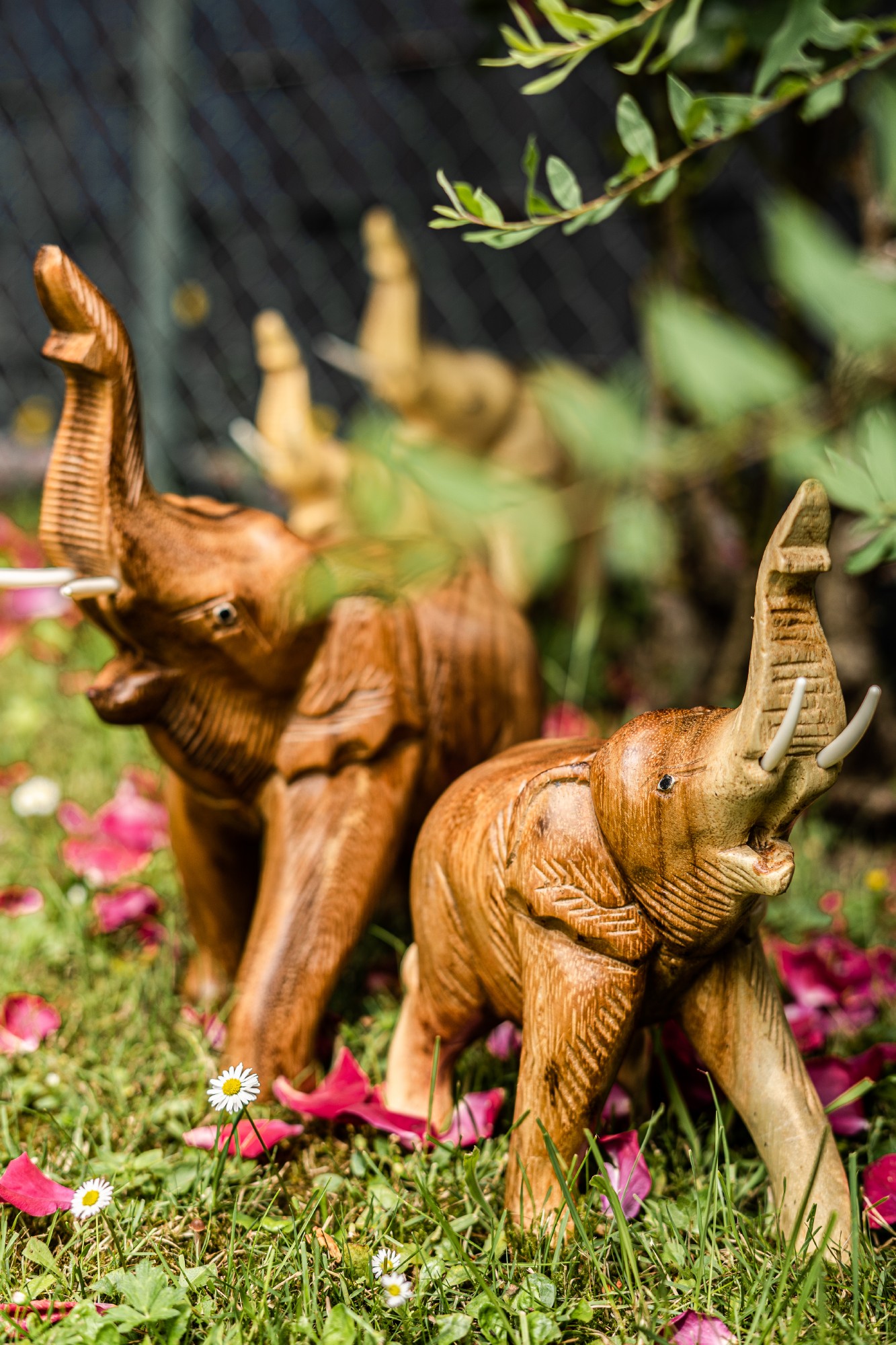 Holz-Elefant 'Kwai' stehend, natur, B 20 cm, H 24 cm, L 9 cm von fischer's lagerhaus