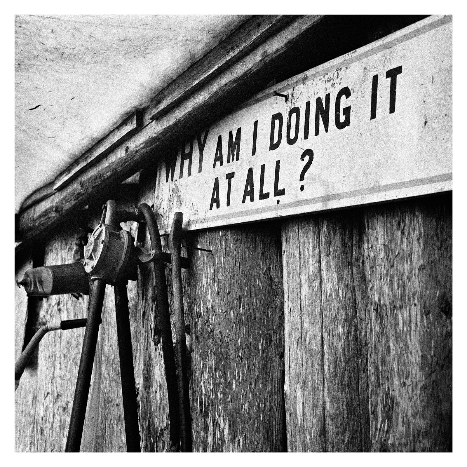 Why am I doing it at all? by Patrick J. Adams - Limited Edition. Edition of: 75. Signed.