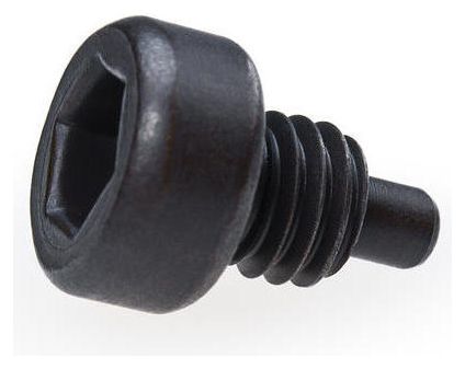 Ergot de Rechange Park Tool pour Clef a Ergot SPA-6 / Clé à Cuvette HCW-4