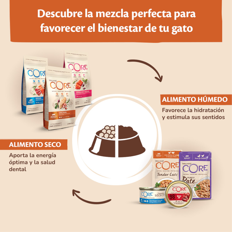 Atum em flocos Wellness Core em lata, 79g, para gatos.