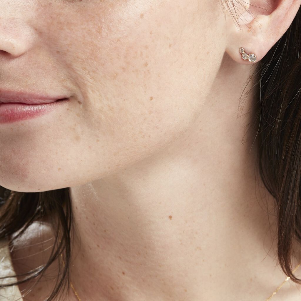 Boucles D'oreilles Puces Or Jaune Albizia Oxydes De Zirconium