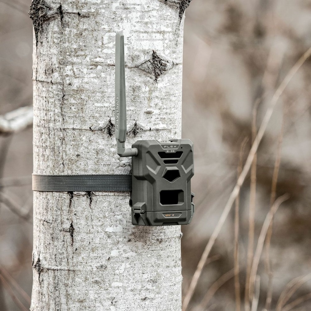Spypoint Flex E-36<br>Viltkamera - fantastiske bilder og video!