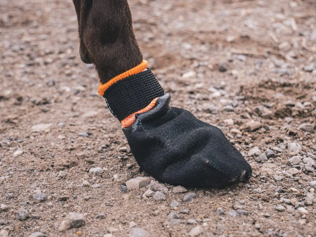 Non-stop Dogwear Protector Bootie 4pk Black