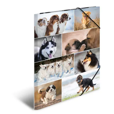 HERMA Sammelmappe A3 Hunde