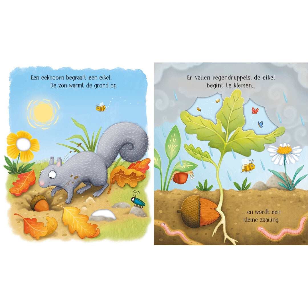 Uitgeverij usborne het leven van een kleine boom