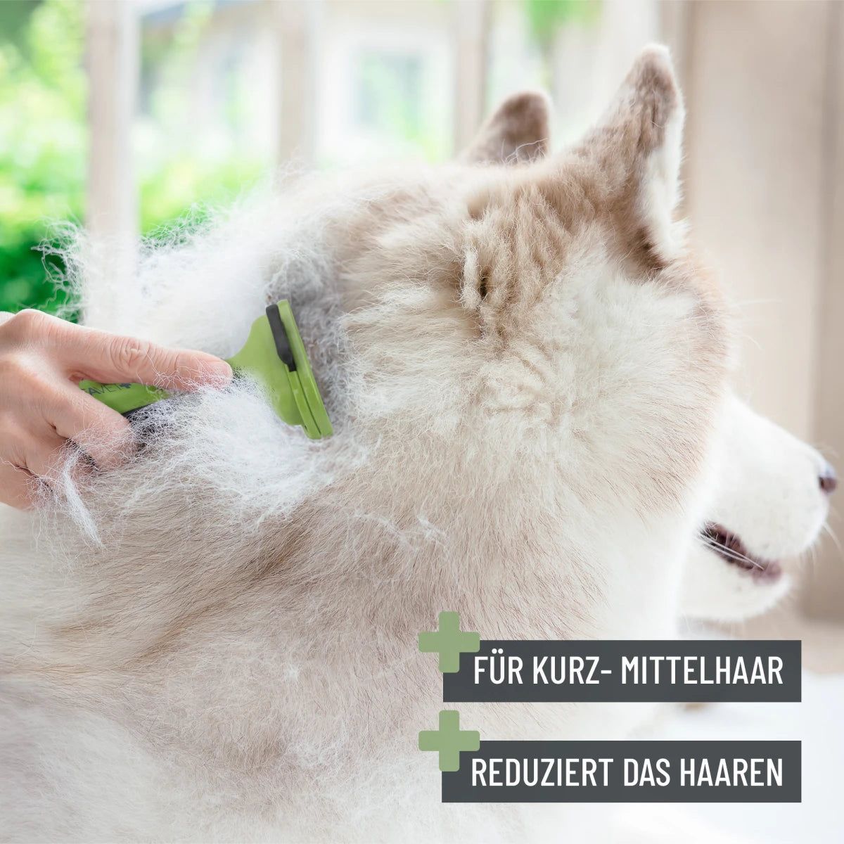 Unterwollkamm - ReaVET