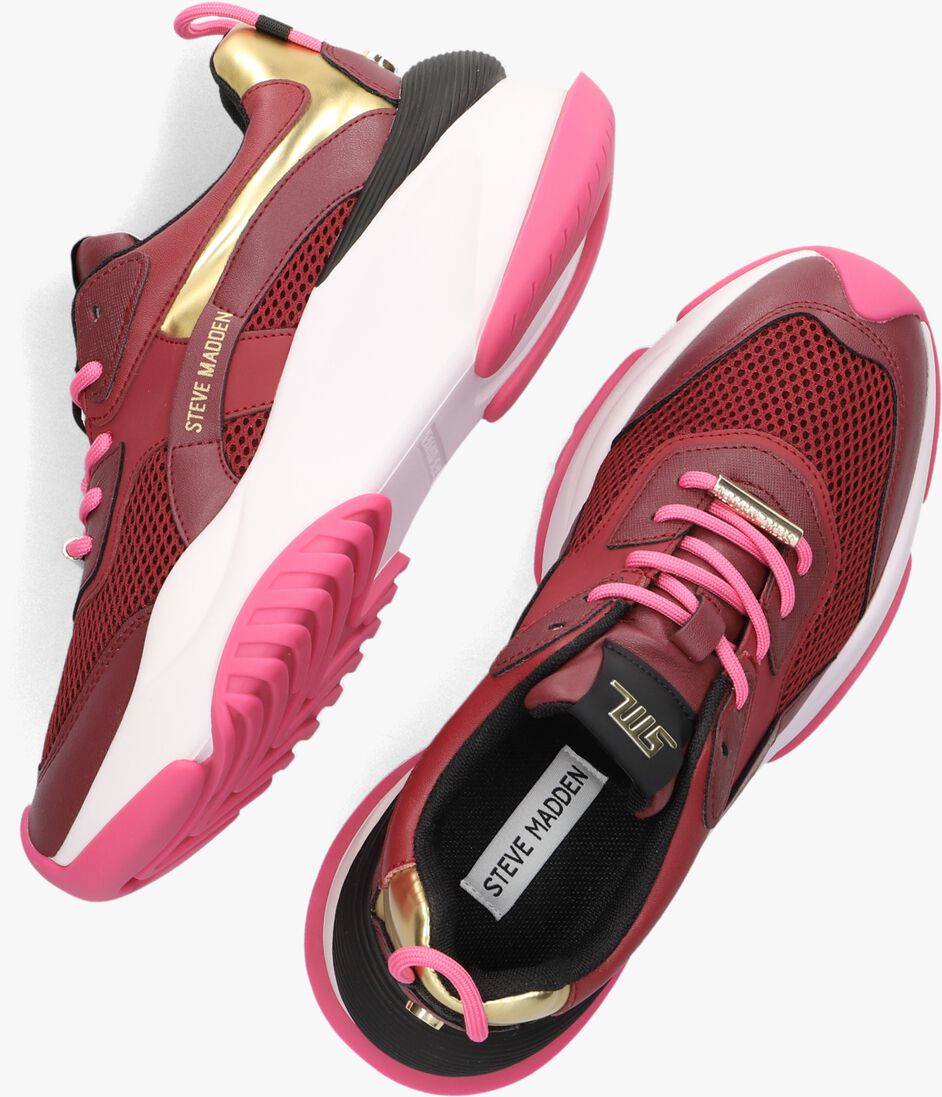 STEVE MADDEN paarse steve madden lage sneakers belissimo