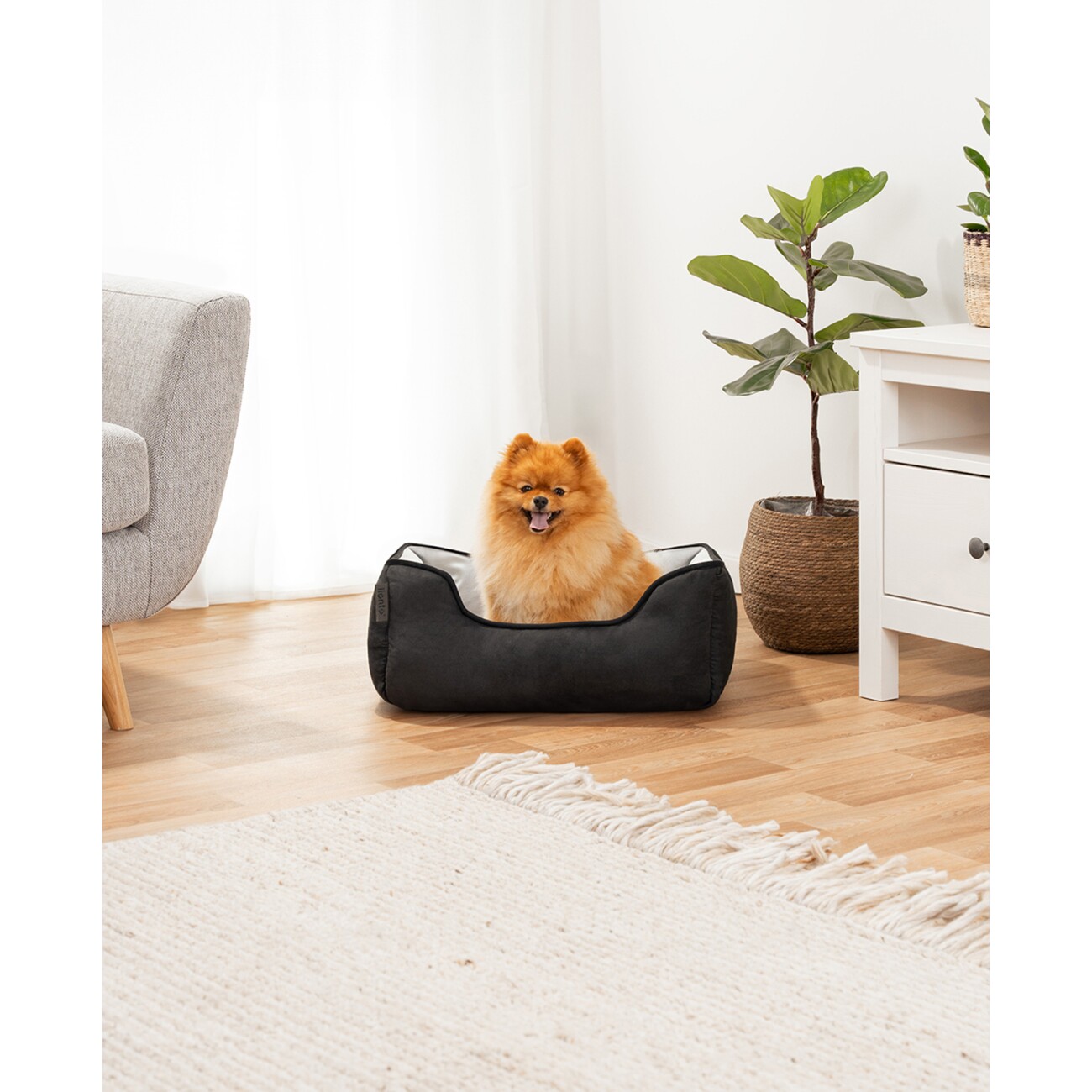 Lionto 2-in-1 Hundebett Hundekissen S