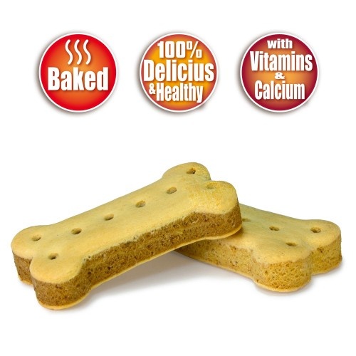 Biscoitos Arquivet em formato de osso para cães, sabor neutro.
