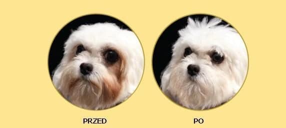 Nature's Protection Superior Care White Dogs Adult Small - Fôr for hvite hunder av små raser