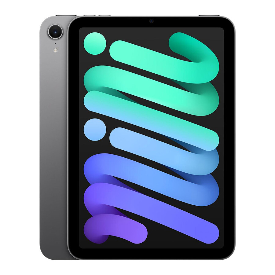 Apple iPad mini (2024) Wi-Fi + Cellular - 128 Go - Gris Sidéral