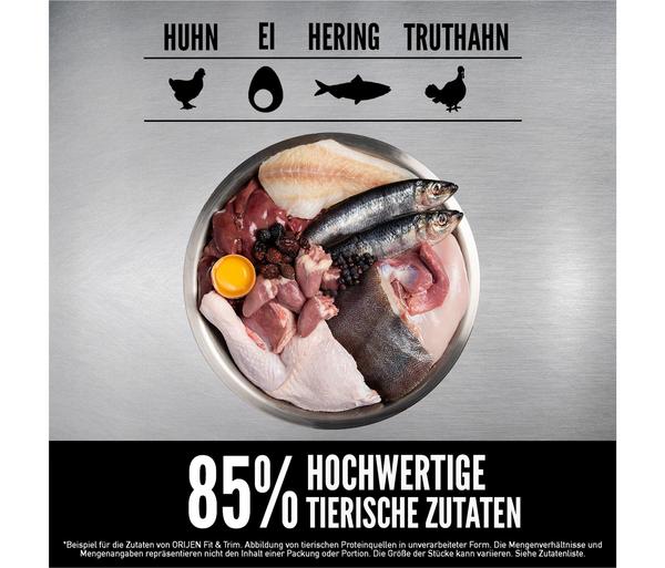 ORIJEN™ Trockenfutter für Katzen Fit & Trim