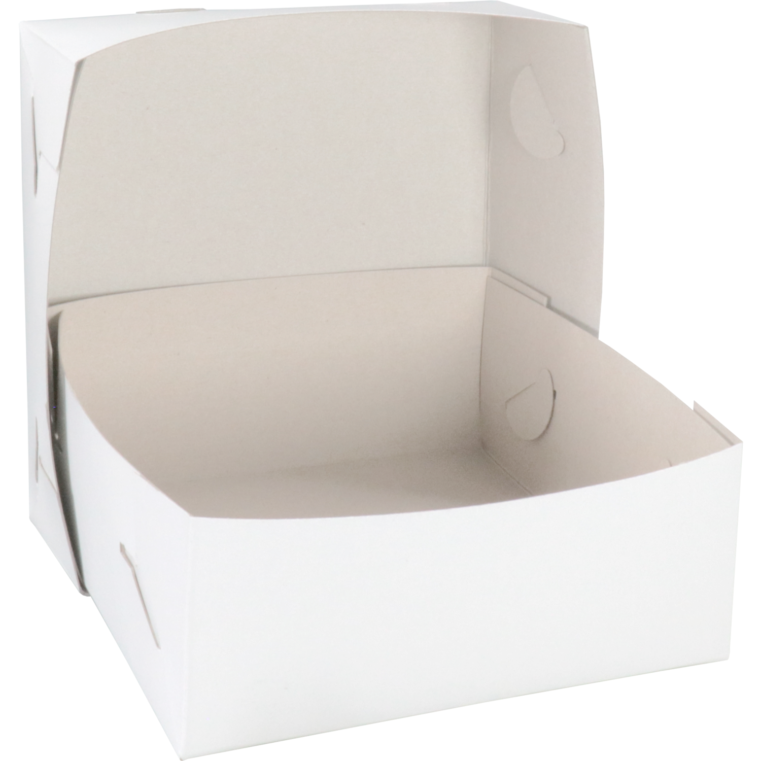 Zwanenhals/ verzenddoos, karton, 20x20x8cm, duplex, wit