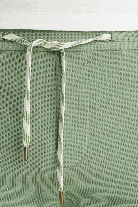 Cast Iron groene heren korte broek