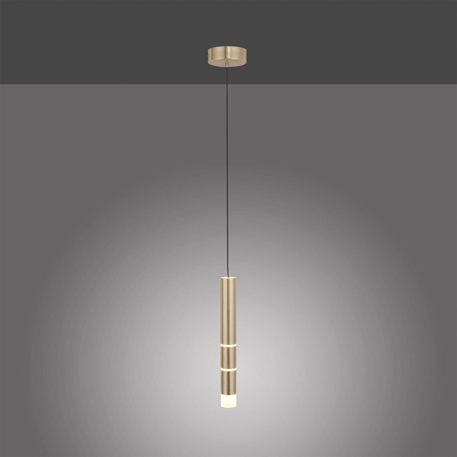 Paul Neuhaus LED Pendelleuchte PURE-VEGA 5 cm mattmessing