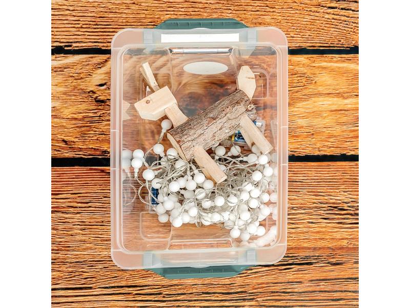 Rotho Aufbewahrungsbox Evo Safe 11 l, Grün/Transparent Box mit Deckel