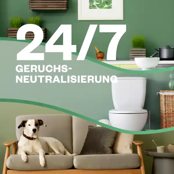 24 / 7 Active Fresh Aerosolfreies Automatisches Duftspray Nachfüller Jasminblüte