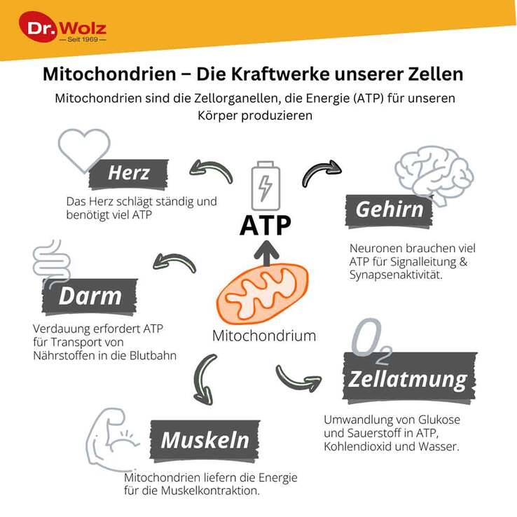 Zell Oxygen plus flüssig, 250 ml