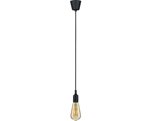 Hanglamp, 1-lichts, IP44, HxØ 200x9,2 cm, zwart