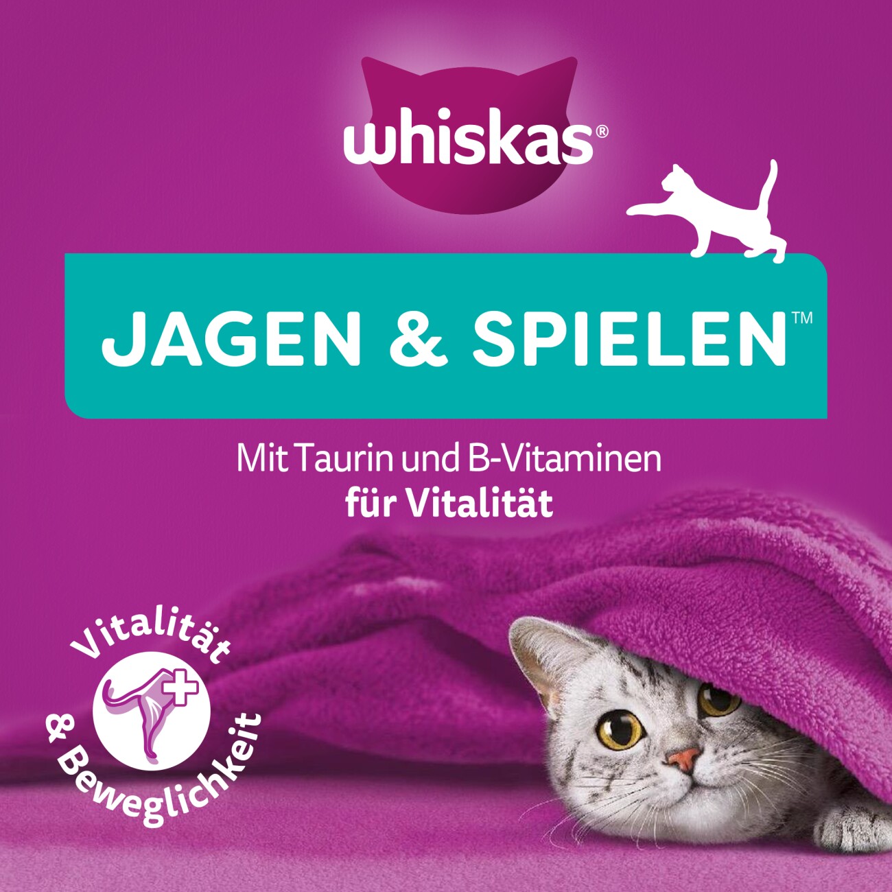 Whiskas Snack Pounce & Play mit Huhn 8x45 g