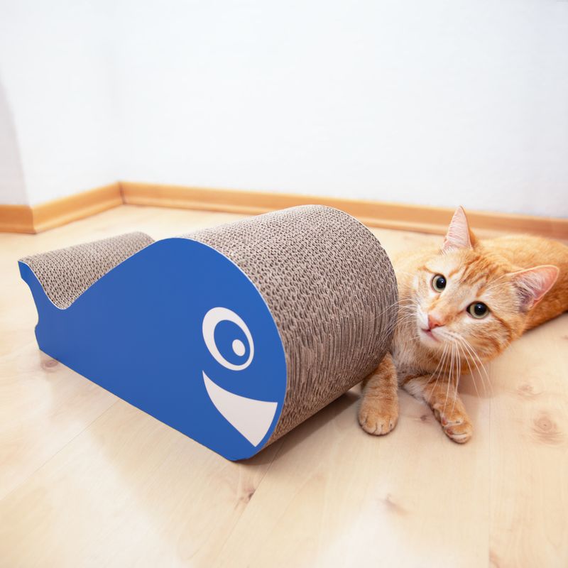 Griffoir TIAKI Baleine pour chat