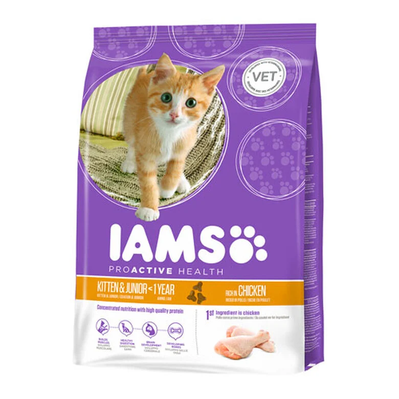 Ração para gatos IAMS Kitten & Junior com sabor de frango