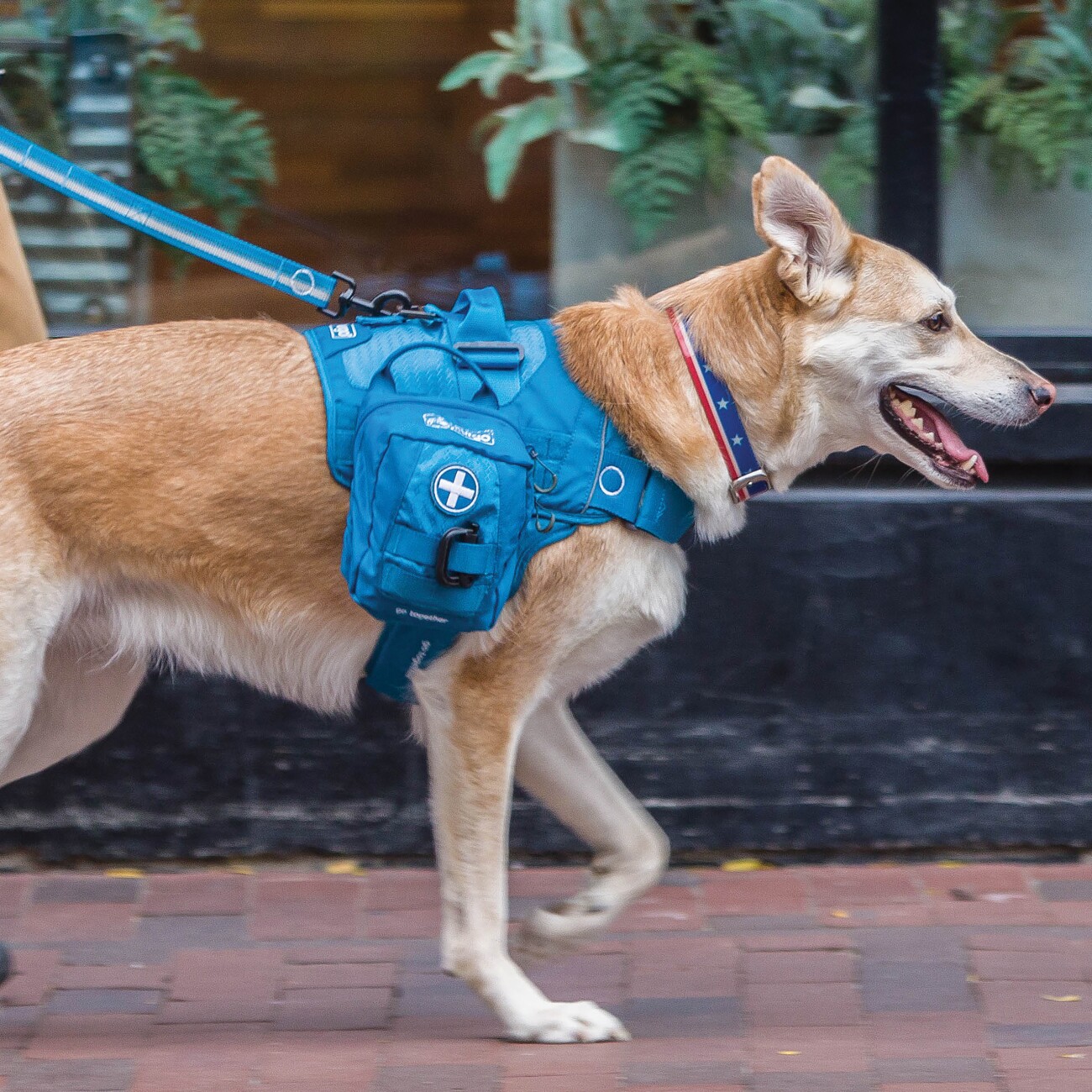Kurgo RSG Erste-Hilfe-Set für Hunde