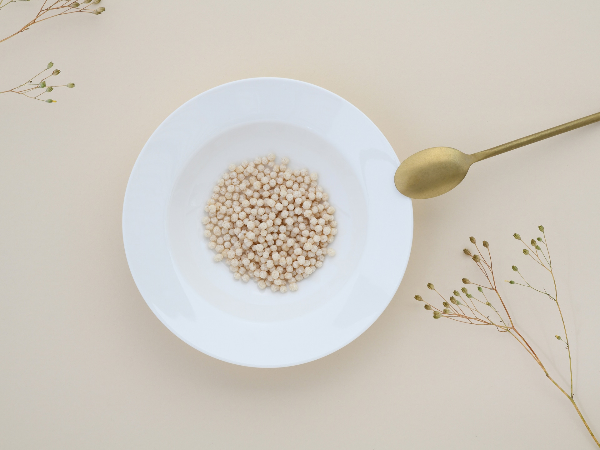 CreaTable Suppenteller FLEUR ROYAL 6er Set creme weiß