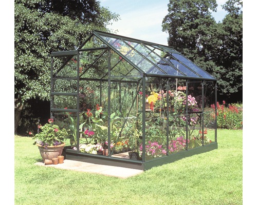 Kas Hallen Populair 86 5,0 m² Helder glas 3 mm 193x257 cm groen