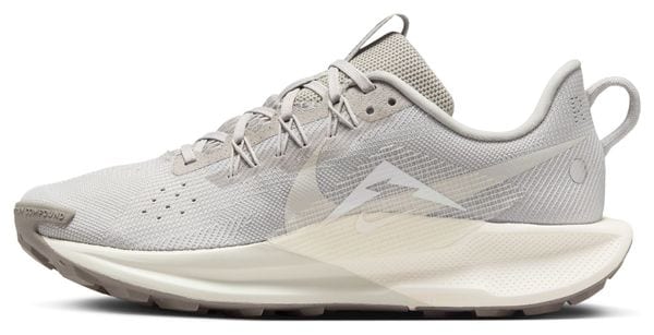Chaussures Trail Nike Pegasus Trail 5 Gris Femme