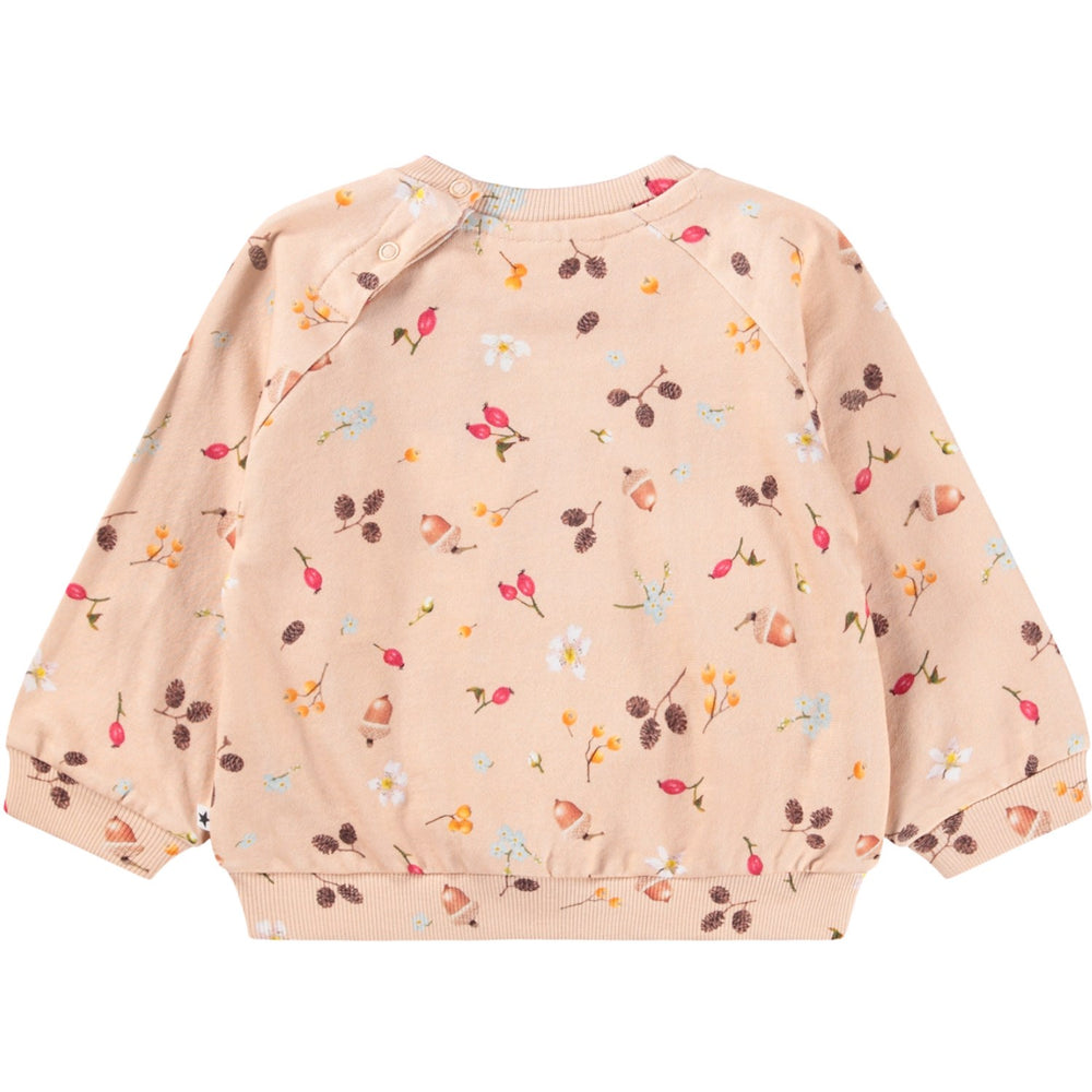 Køb Molo Foraging Rose Disc Sweatshirt