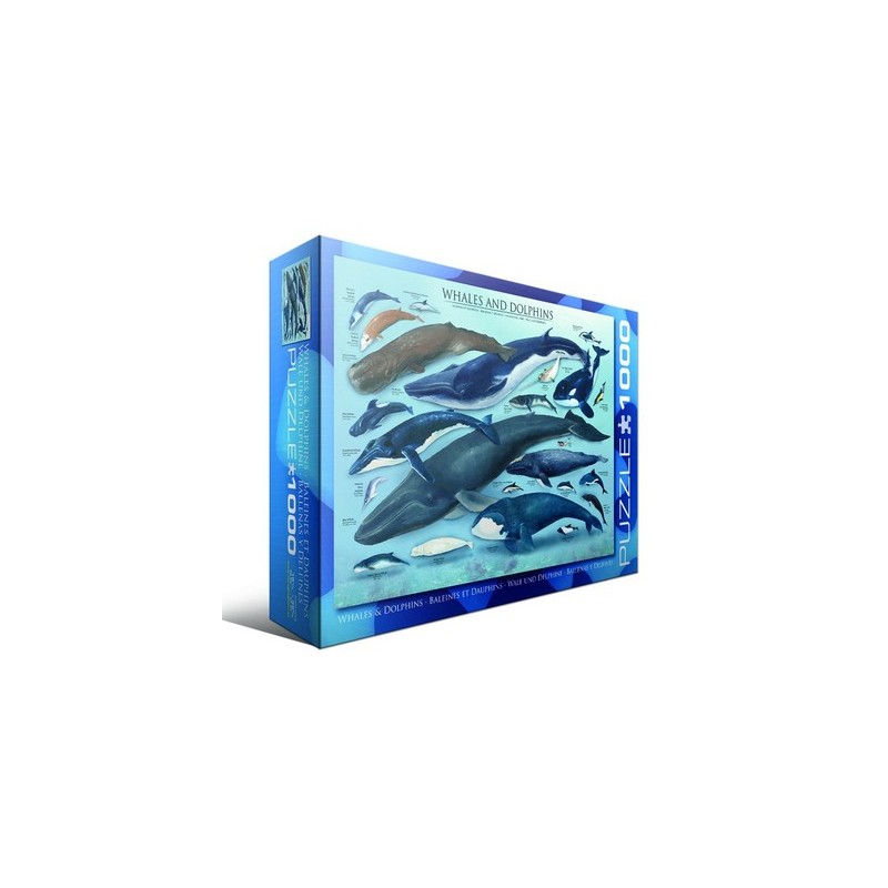 Puzzle 1000 pièces - Baleines et Dauphins