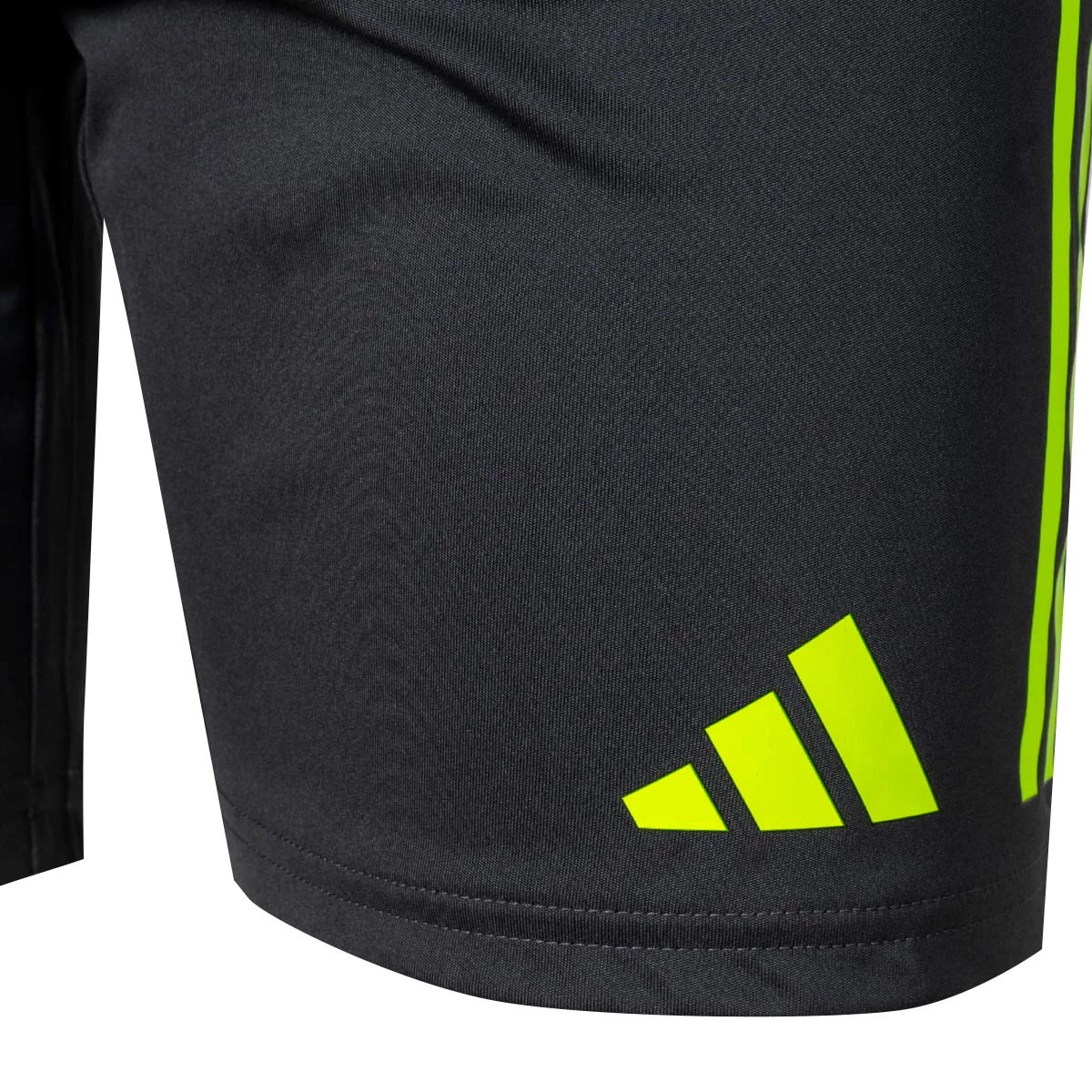 Calções adidas Real Zaragoza Training 2024-2025 Treinadores Criança