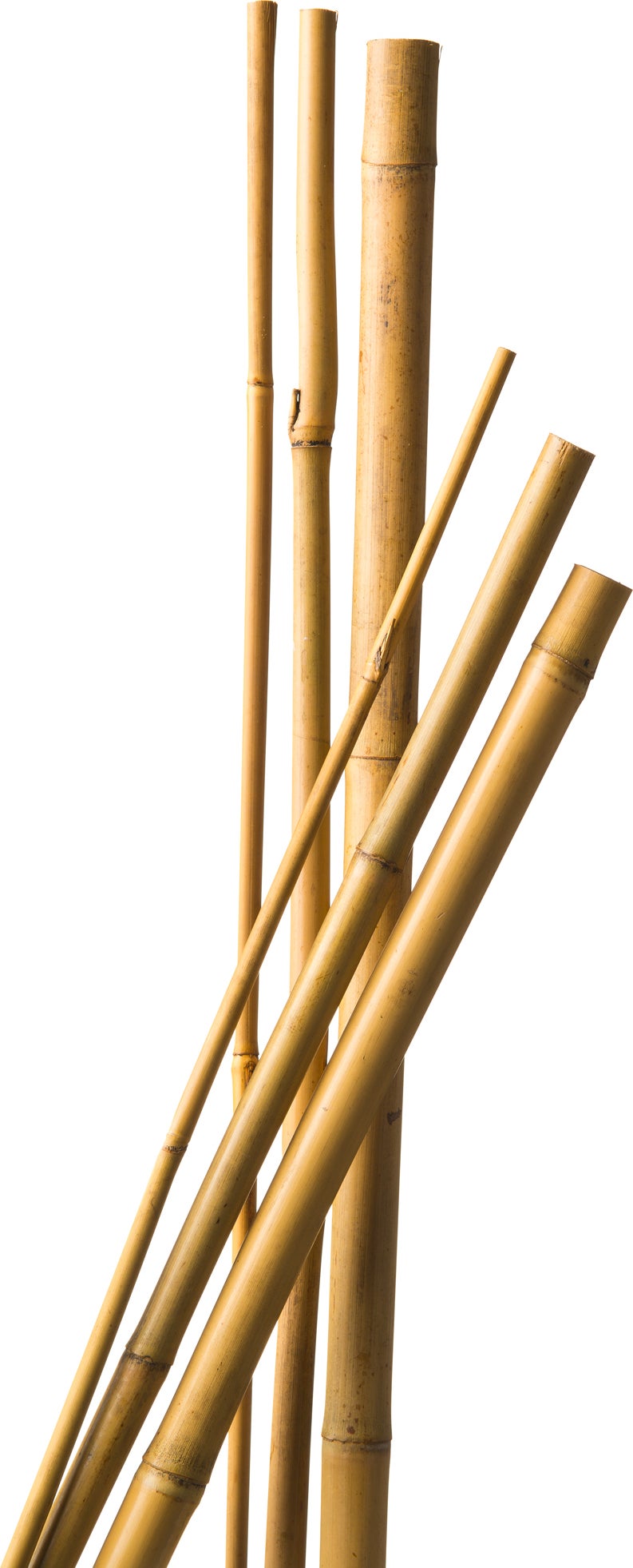 Nature bamboestok 90cmxØ8-10mm naturel 7st