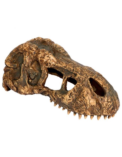 Exo Terra T-Rskull Fossiele Schuilplaats - Schuilplaats -