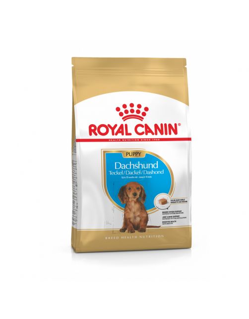 Royal Canin Dachshund - Puppy-Hondenvoer - 1.5 kg