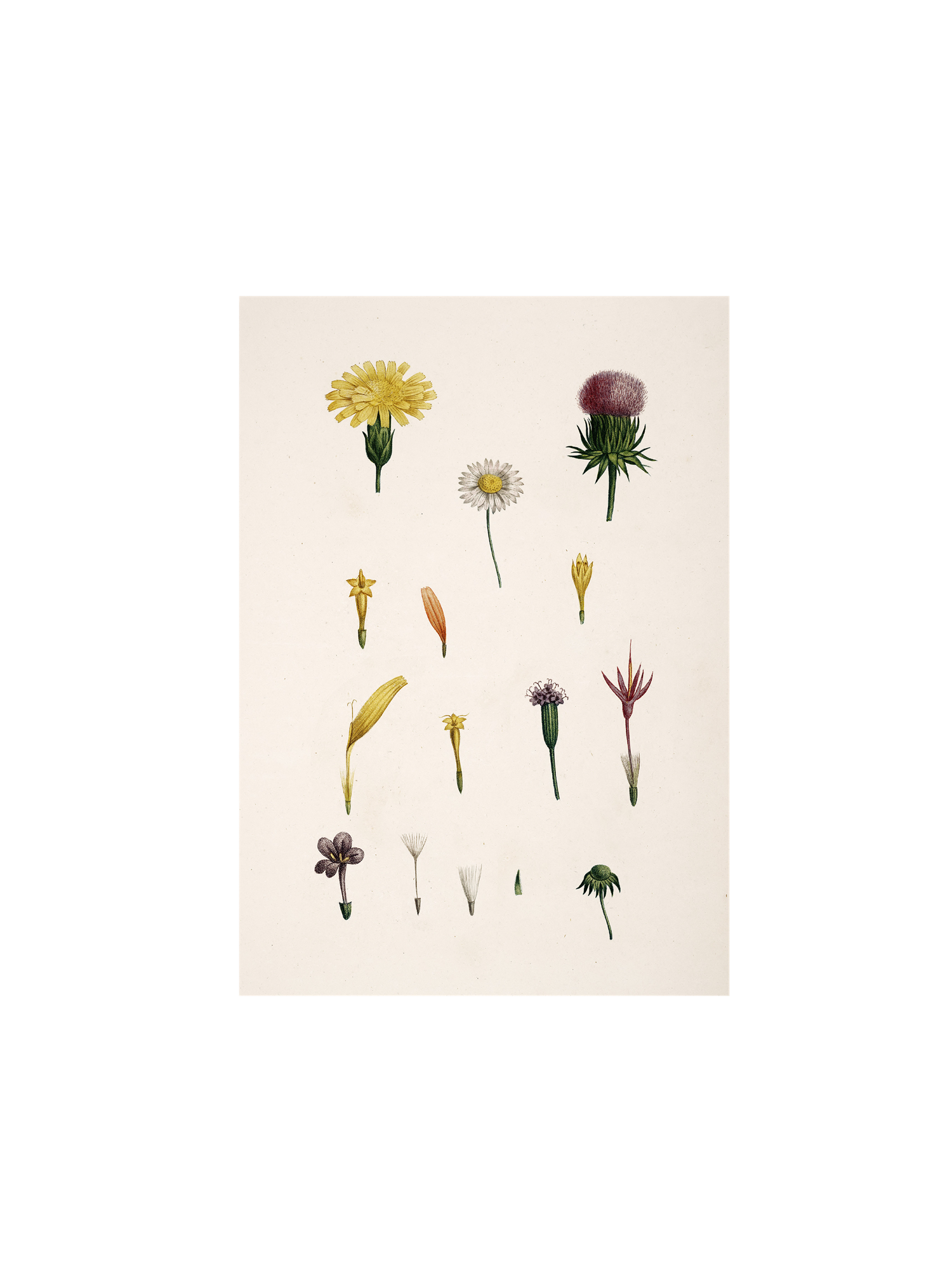 Plakat A3 | Papir. 29,7 x 42 cm.  | Multi | The Dybdahl Co.