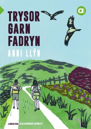 Cyfres Amdani: Trysor Garn Fadryn (Paperback)