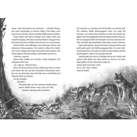 Coppenrath Verlag Als der Wolf den Wald verließ