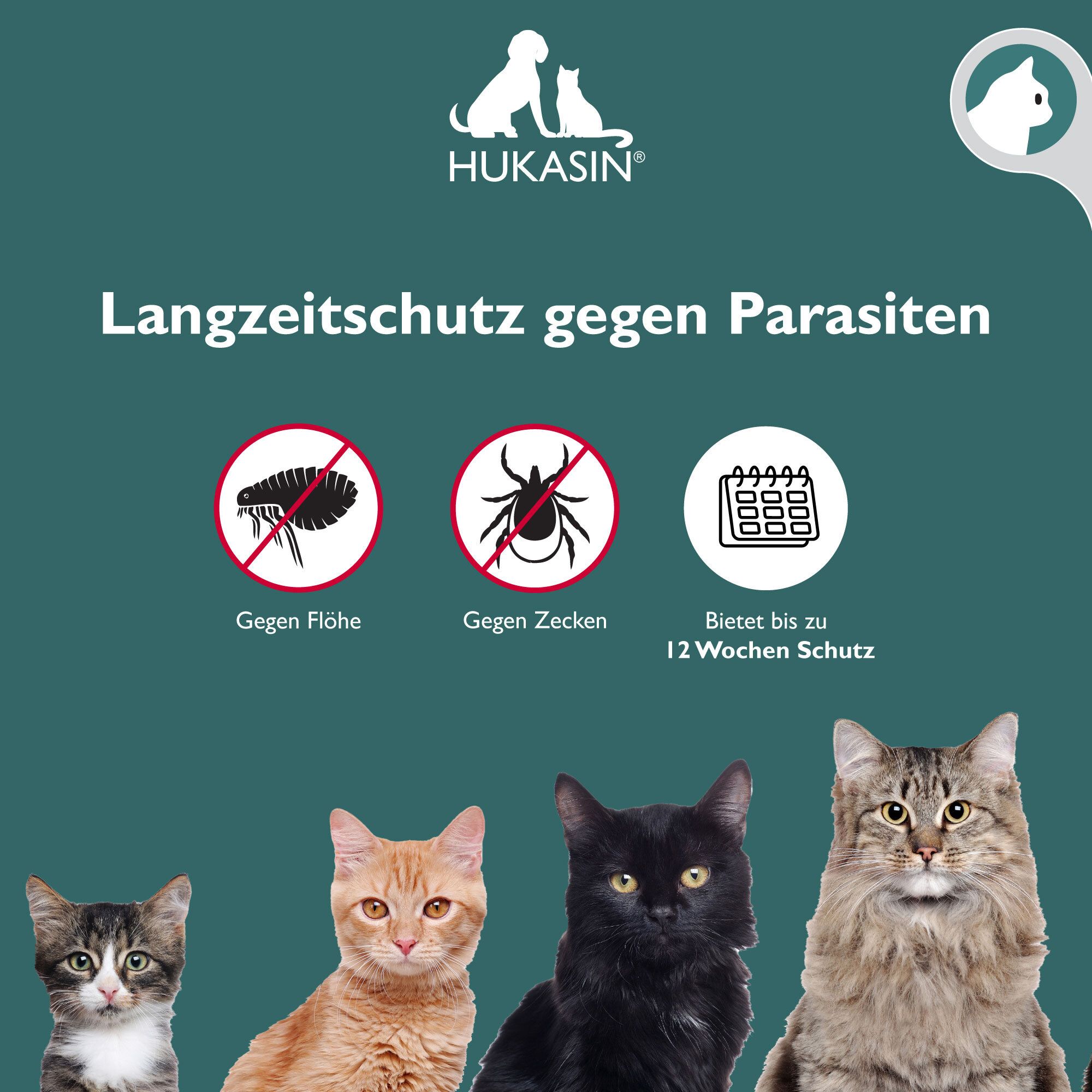 Hukasin® Spot On Katze - Zecken- und Floh Schutz - langanhaltender Zeckenschutz & Flohmittel für Katzen bis zu 12 Wochen, für die Gesundheit Ihrer Katze